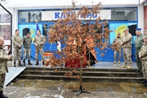 Picture 9